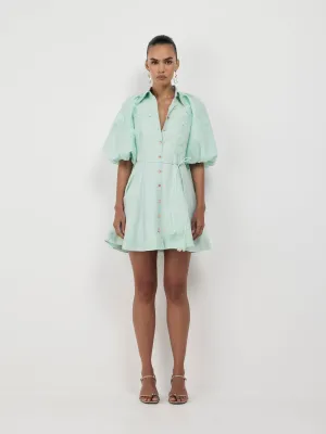 ROSE GARDEN MINI DRESS