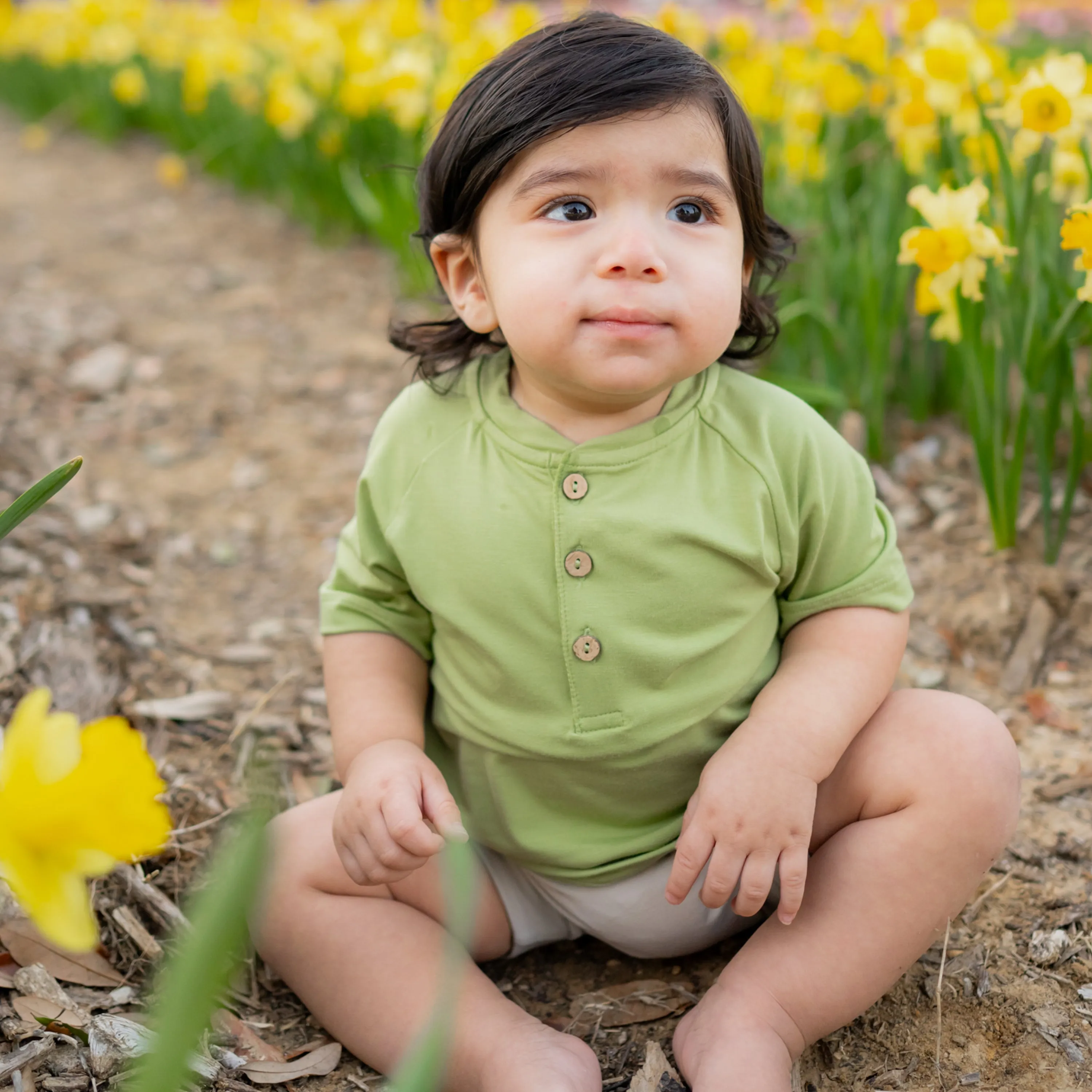 Short Sleeve Toddler Henley Tee in Honu