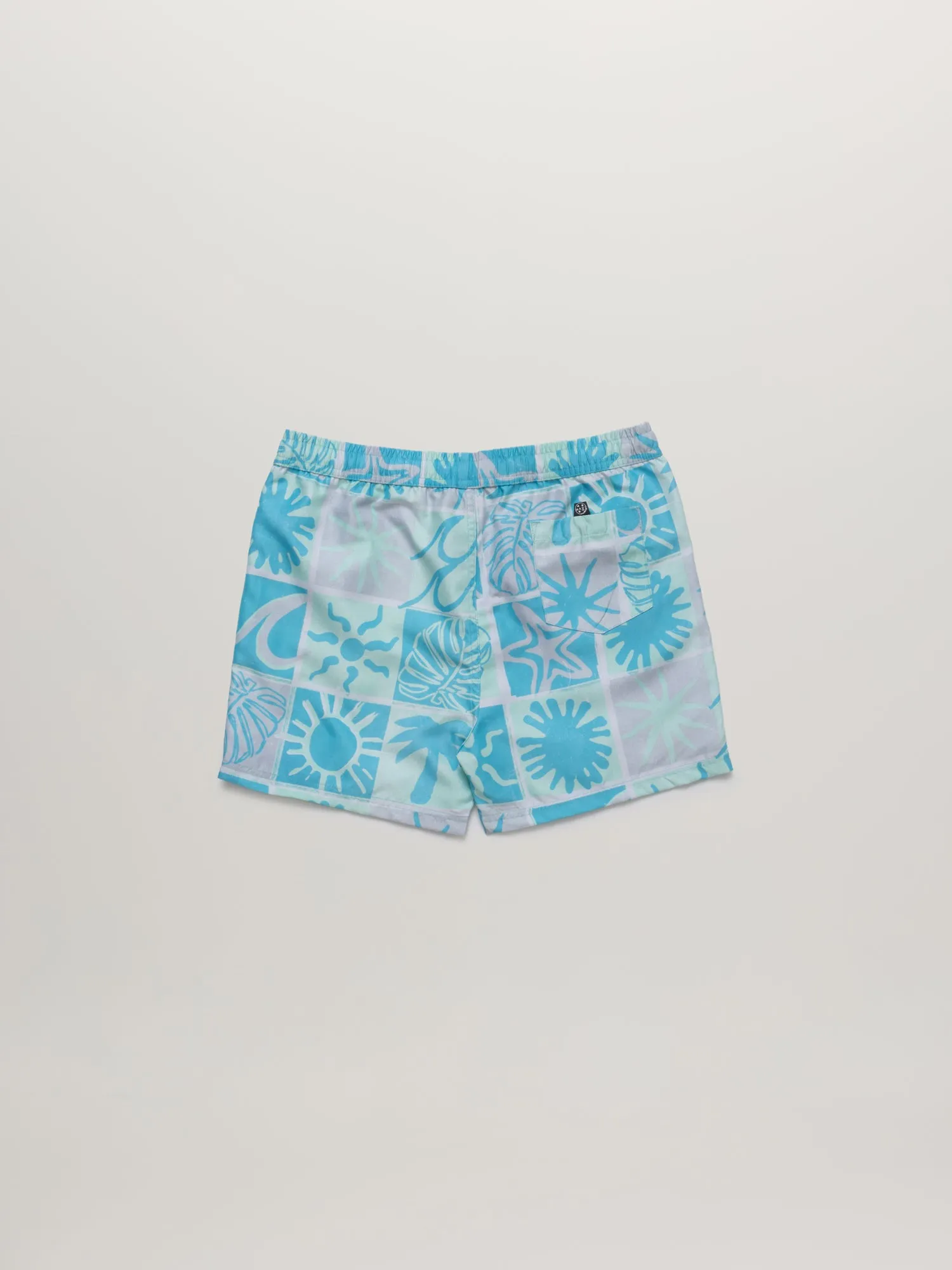 Surf Sway Boys Pool Short